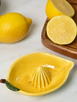 Lemon Juicer